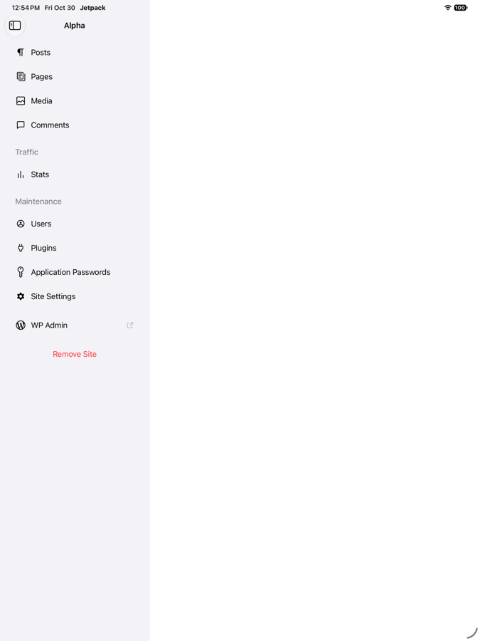 This PR: iPad sidebar after the Stats row appears
